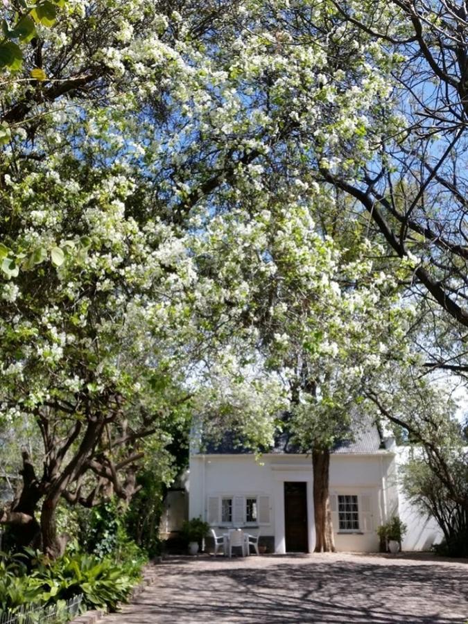 Little Green World Beaufort West Εξωτερικό φωτογραφία