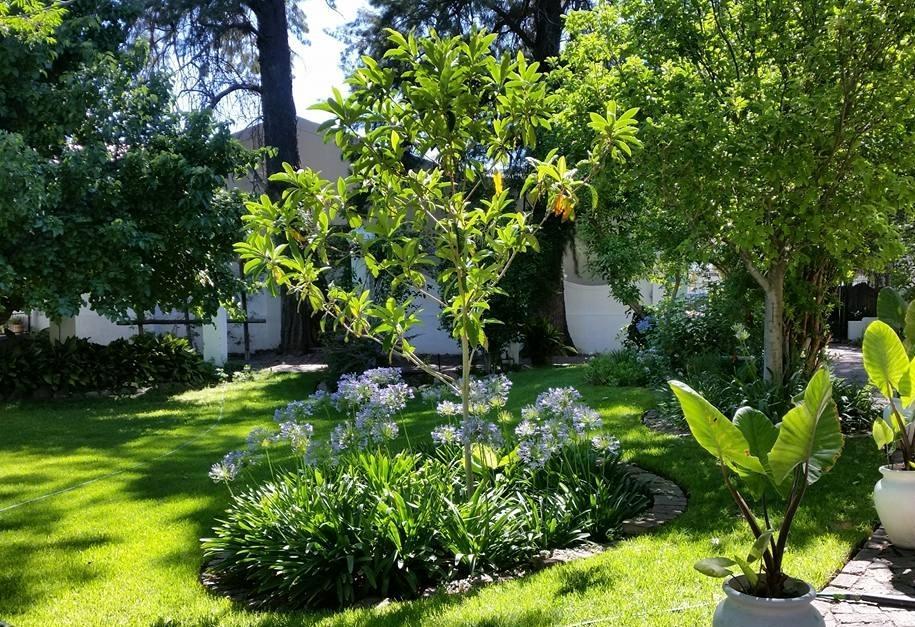 Little Green World Beaufort West Εξωτερικό φωτογραφία